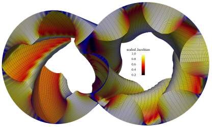 Structured spline mesh with quality field on the intermeshing rotors of a twin-screw machine